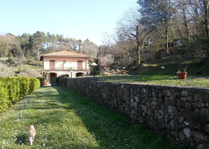 I Lecci